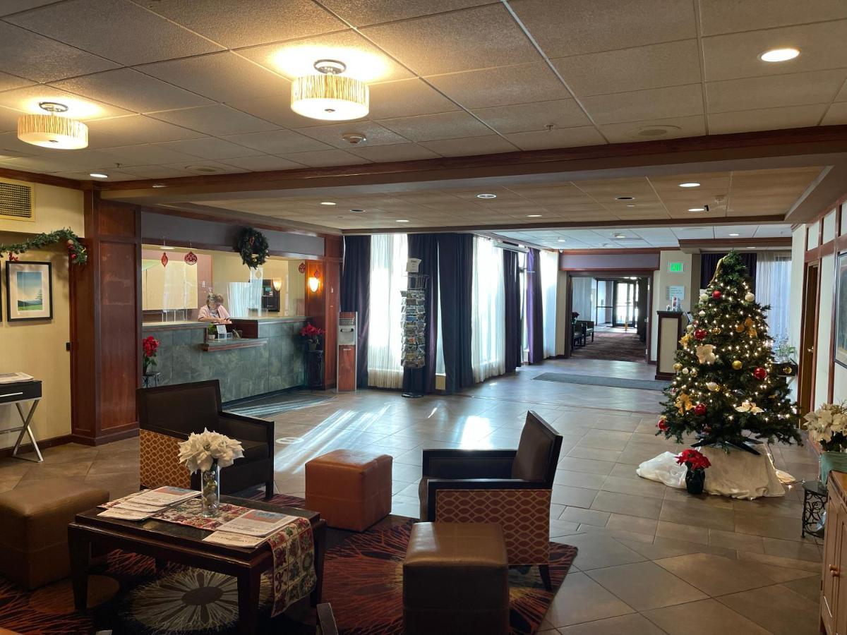 Hotel Cortina 3*